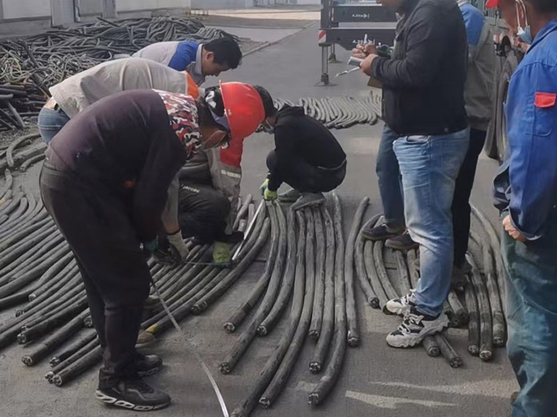 յߵ